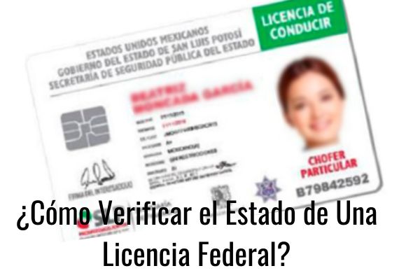 ¿Cómo obtener una licencia federal?