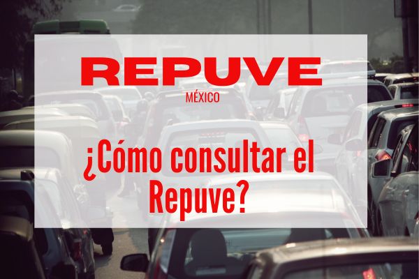 ¿Cómo consultar el Repuve?