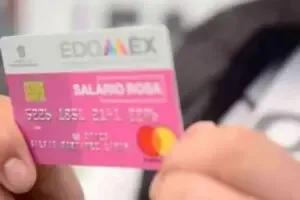 Solicitar la Tarjeta Rosa: Guía Completa para Obtener el Apoyo Social