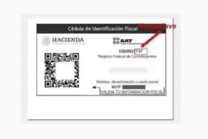 RFC con Homoclave: Paso a Paso